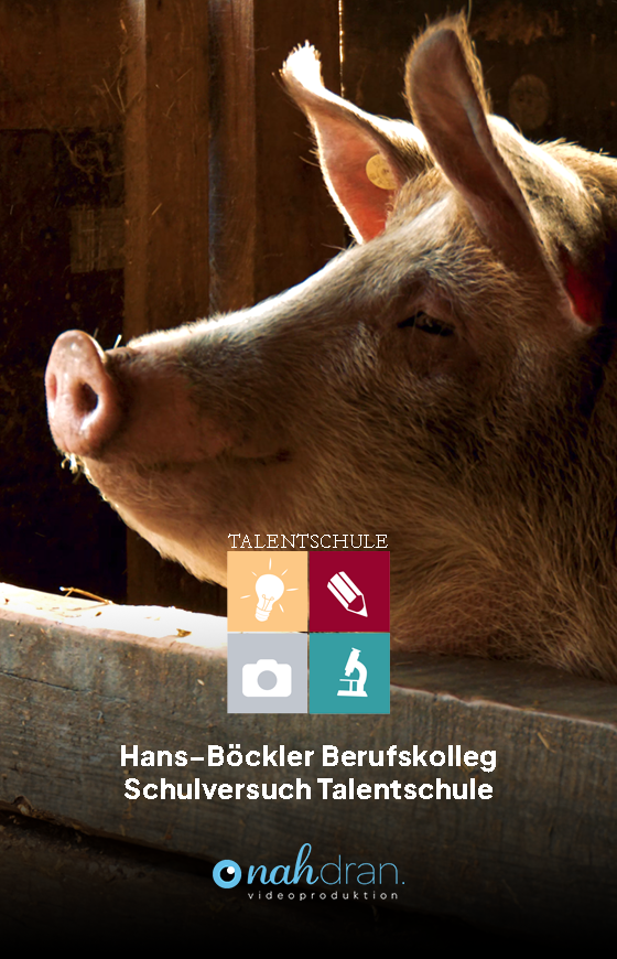 talentschule-hbbk.png